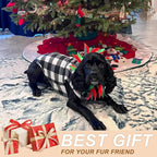 BEAUTYZOO XS Dog Sweaters, Soft Fleece Vest Pullover Dog Jacket with D-Ring Leash Attachment, Warm Winter Dog Clothes Cold Weather Doggy Chihuahua Sweater for Small Dogs Cats Boy or Girl, XSmall