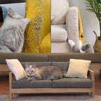 Chuangseed Anti-Cat Scratch Tape - 3" x 30Yds, Clear Double-Sided Cat Scratch Deterrent for Furniture, Carpet, Doors, Pet & Kid Safe
