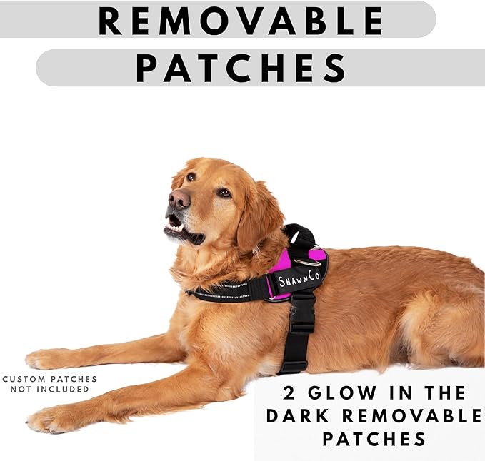 ShawnCo Essential Pro Dog Harness, No-Pull Pet Vest with 3 Leash Clips and Removable, Reflective Side Patches, Adjustable and Padded Harness for Small, Medium and Large Dogs (Orchid, XL)