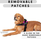 ShawnCo Essential Pro Dog Harness, No-Pull Pet Vest with 3 Leash Clips and Removable, Reflective Side Patches, Adjustable and Padded Harness for Small, Medium and Large Dogs (Midnight, M)