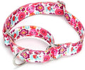 Serijoars Adjustable Martingale Dog Collar Heavy Duty Nylon Dog Collar for Medium Large Dogs Walking Training Boy and Girl Dogs (NO21, M)