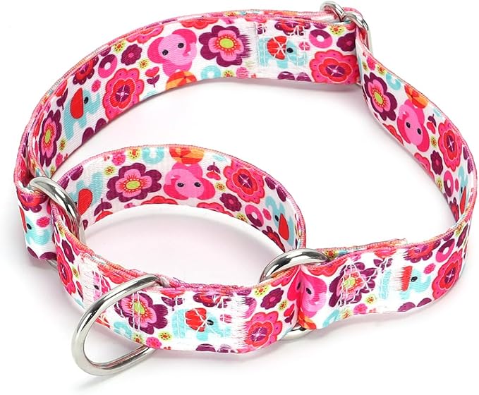 Serijoars Adjustable Martingale Dog Collar Heavy Duty Nylon Dog Collar for Medium Large Dogs Walking Training Boy and Girl Dogs (NO21, M)