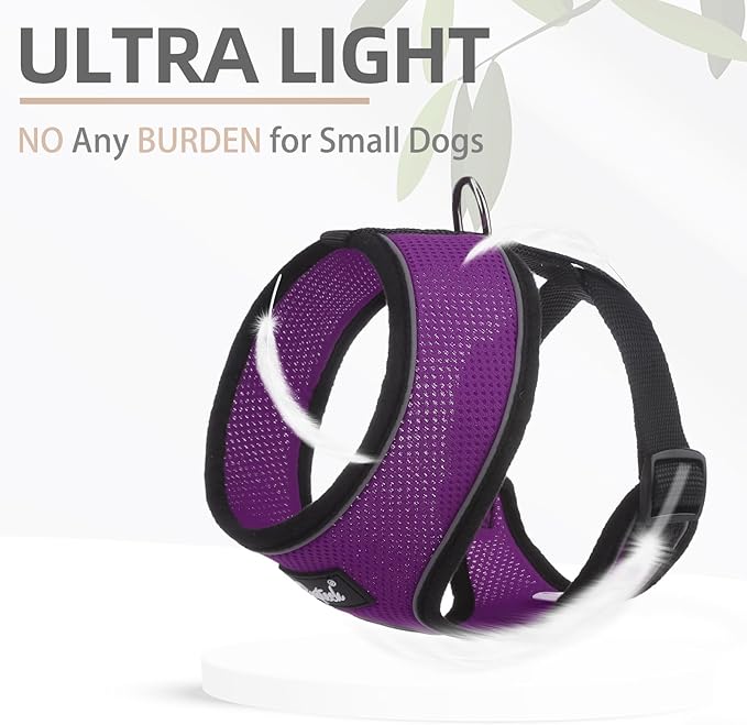 PUPTECK Soft Mesh Dog Harness and Leash Set Pet Puppy Cat Comfort Padded Vest No Pull Harnesses, Solid Purple, M