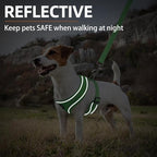 PUPTECK Soft Mesh Dog Harness and Leash Set Pet Puppy Cat Comfort Padded Vest No Pull Harnesses, Solid Green, S