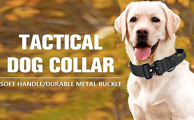 Heavy Duty Tactical Dog Collar – Adjustable Nylon with Metal Buckle, Durable & Comfortable for Medium to Large Dogs (German Shepherd, Labrador, Rottweiler), Black, XL, for Training & Outdoor Use.
