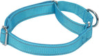 SGODA Martingale Dog Collar, Reflective Nylon Padded Dog Training Collars for Medium Dogs, Blue M