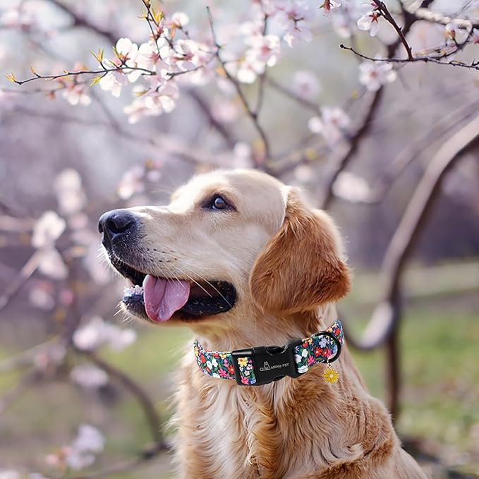 ARING PET Girl Dog Collar, Cute Spring Summer Floral Puppy Pet Collars for Small Medium Large Dogs-XL