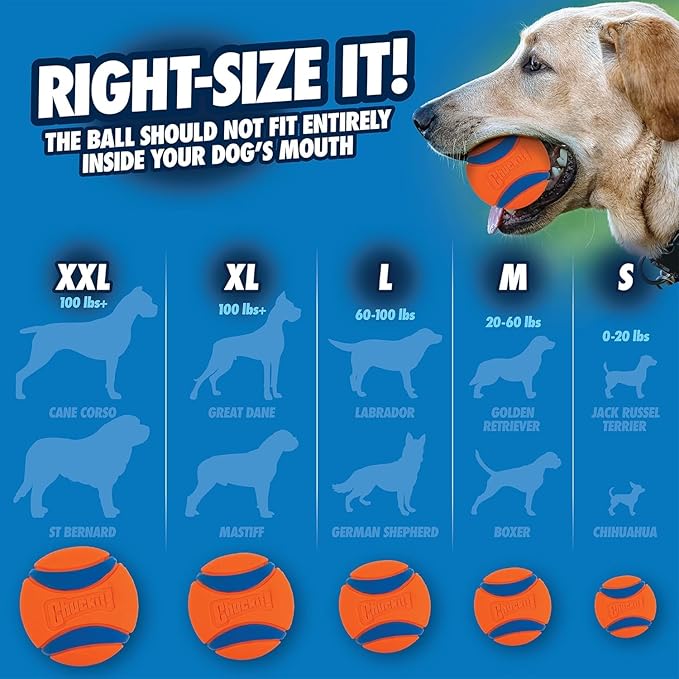 Chuckit! Ultra Ball Dog Toy - Medium Bouncy Fetch Balls for Dogs 20-60 lbs - Made from Durable Rubber - Floating Water Pet Toys - Size Medium - 2.5-inch Diameter (Pack of 4)