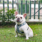 PUPTECK Soft Mesh Dog Harness and Leash Set Pet Puppy Cat Comfort Padded Vest No Pull Harnesses, Sky Blue, M