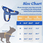 rabbitgoo Dog Harness No Pull, Quick Fit for Small Dogs with Soft Padded Handle, Chest Adjustable Reflective Pet Vest, No Choke Escape Proof for Walking Training, Blue S