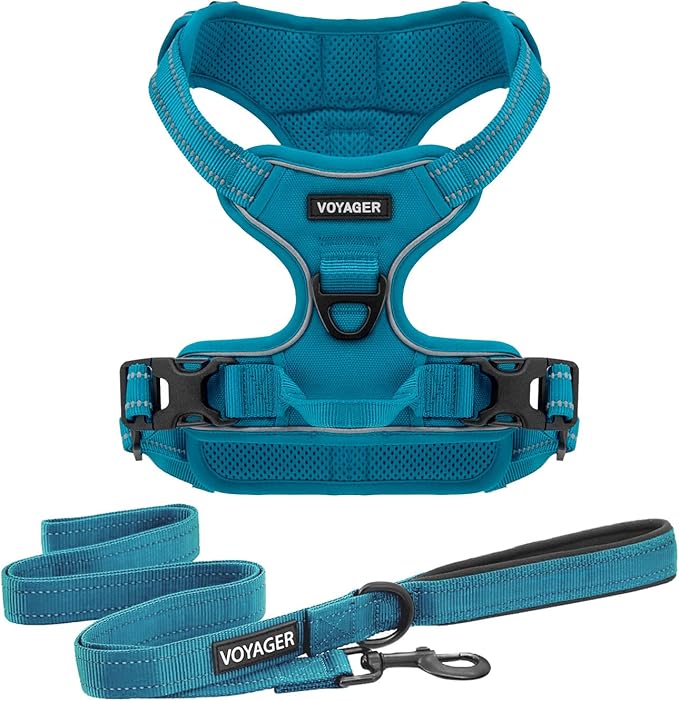 Voyager Dog Harness Dual Leash Attachment No-Pull Control Adjustable Soft but Strong Pet Harness for Medium and Large Dogs with 3M Reflective Technology, Leash Set Turquoise Nylon, M (Chest: 20-25")