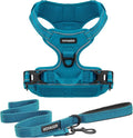 Voyager Dog Harness Dual Leash Attachment No-Pull Control Adjustable Soft but Strong Pet Harness for Medium and Large Dogs with 3M Reflective Technology, Leash Set Turquoise Nylon, S (Chest: 16-20")