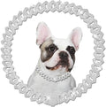 Metal Diamond Dog Chain Dog Training Chain with Secure Buckle Pet Collars for Large Medium Dogs