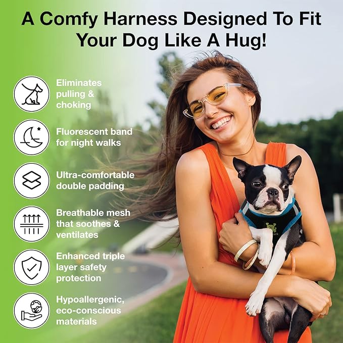 EcoBark Step in Dog Harness - Eco-Friendly Dog Harnesses for Small and Medium Breed Dogs - Reflective and Adjustable Body Halter Vest - Soft Mesh Toy Breed Harness (Black and Teal, Large)