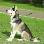CBBPET Dog Prong Collar, Adjustable Dog Training Collar with Quick Release Buckle for Small Medium Large Dogs (Silver, M/3.0mNeck: 16"-18'' Weight:50 lbs)