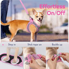 Eagloo Small Dog Harness and Leash Set, Step in Puppy Vest with Breathable Soft Mesh, Walking Reflective Pet Harness for Medium Small Dogs, Pink, L