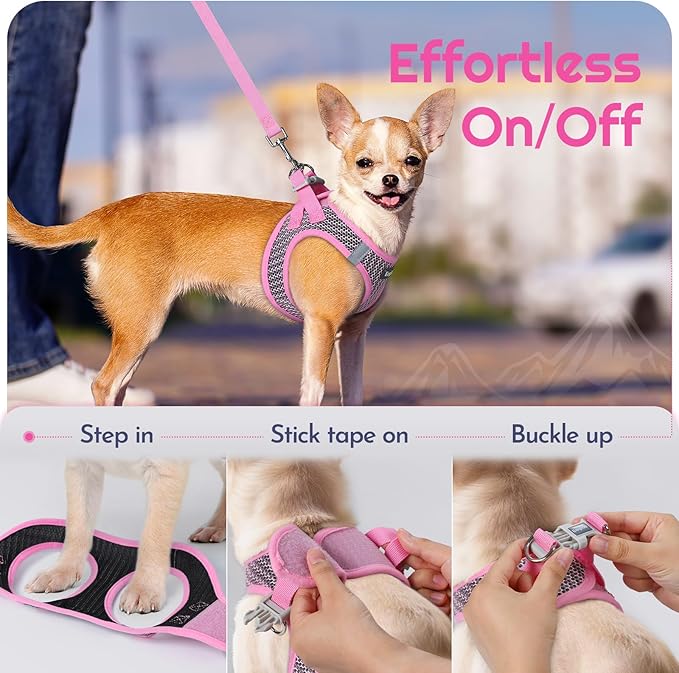 Eagloo Small Dog Harness and Leash Set, Step in Puppy Vest with Breathable Soft Mesh, Walking Reflective Pet Harness for Small Dogs, Pink, XS