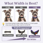 Mayerzon 1.5" Wide Martingale Collar for Large Medium Small Dogs Pitbull German Shepherd, No Pull Reflective Slip Martingale Dog Collar with Buckle Soft Padded for Walking Training(Purple,S)