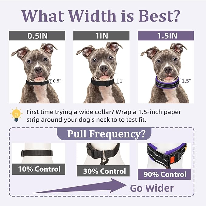 Mayerzon 1.5" Wide Martingale Collar for Large Medium Small Dogs Pitbull German Shepherd, No Pull Reflective Slip Martingale Dog Collar with Buckle Soft Padded for Walking Training(Purple,L)