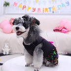 CuteBone Birthday Dog Dresses Velvet Holiday Small Dogs Clothes Onesie Pet Apparel Girl Puppy Skirt with Bow Hair Rope CVA50S-D
