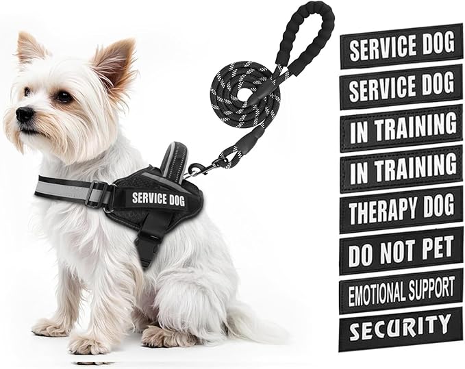 Service Dog Vest Harness and Leash Set, Animire in Training Dog Harness with 10 Dog Patches, Reflective Dog Leash with Soft Padded Handle for Small, Medium, Large, and Extra-Large Dogs