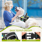 Service Dog Vest Harness and Leash Set, Animire in Training Dog Harness with 10 Dog Patches, Reflective Dog Leash with Soft Handle for Small, Medium, Large, and Extra-Large Dogs (Multi-Colored,M)