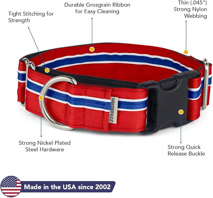 If It Barks - 1.5" Martingale Collar for Dogs - Quick Snap Release Buckle - Adjustable - Nylon - Strong and Comfy - Ideal for Training - Made in USA - Large, Patriotic