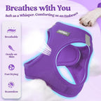 rabbitgoo Dog Harness Small Medium Sized and Leash Set, Step in Soft Light Puppy Vest, Breathable Mesh Pet Harness, Reflective for Safe Outdoor Walking, Purple L