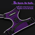 rabbitgoo Dog Harness No Pull with 2 Leash Clips, Adjustable Soft Padded, Reflective Oxford No Choke Pet Vest with Easy Control Handle for Medium Sized Dogs, Purple, M