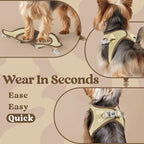 rabbitgoo Small Dog Harness, Step-in Soft Mesh Puppy Vest with Safety Buckle, Breathable Reflective Pet Harness for Small Sized Dogs, Brown & Beige XS