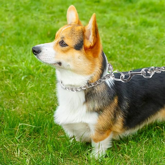 TSPRO Stainless Steel Heavy Duty Metal Dog Collar, Adjustable and Durable Pet Collar for Small Dogs, Ideal for Walking and Training (Gray, 3MM*13-15 inches)