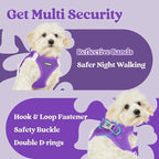 rabbitgoo Small Dog Harness, Step-in Soft Mesh Puppy Vest with Safety Buckle, Breathable Reflective Pet Harness for Large Dogs, Purple XXL