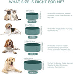 SPUNKYJUNKY 60OZ Ceramic Dog and Cat Bowl, Modern Cute Weighted Food Water Bowl for Replacement Light Green (2 Pack)