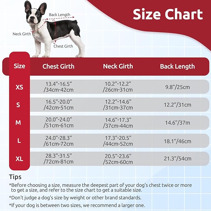 ASENKU Warm Dog Winter Coat, Waterproof Dog Coat for Cold Weather, Fleece Dogs Jacket with Ultra Thick Plush Lining Leash Hole Storage Pockets for Small Dogs (Red, X-Small)