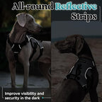 rabbitgoo Escape Proof Dog Harness, Soft Padded Full Body Pet Harness, Reflective Adjustable No Pull Vest with Lift Handle and Leash Clip for Large Dogs Walking Hiking Training, L, Grey