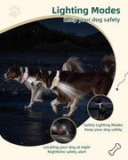 Jugbow Dog Training Collar for 2 Dogs - 4200FT Remote Control with 3 Training Modes, Electric Collar with LED Light & IPX8-Waterproof, Rechargeable E-Collars for Small Medium Large Dogs (Beige)