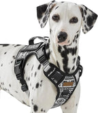 Tactical Dog Harness for Medium Large Dogs, No Pull Pet Harness with 2 Leash Clips, Adjustable Soft Padded Dog Vest, Reflective Pet Oxford Vest with Easy Control Handle, Black Ethnic M