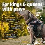 Dog Harness with Patch Panels, No Choke, Reflective, Adjustable, Soft Padded Dog Vest Harness with Easy Control Handle for Large Dogs, USA, 2XL