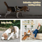 AUROTH Dog Harness and Leash Set, Soft Padded Service Dog Vest with 5.25FT Dog Leash, No Choke, Easy On Pet Vest, Adjustable Reflective No Pull Dog Harness for Large Dogs, Easy Walking and Training