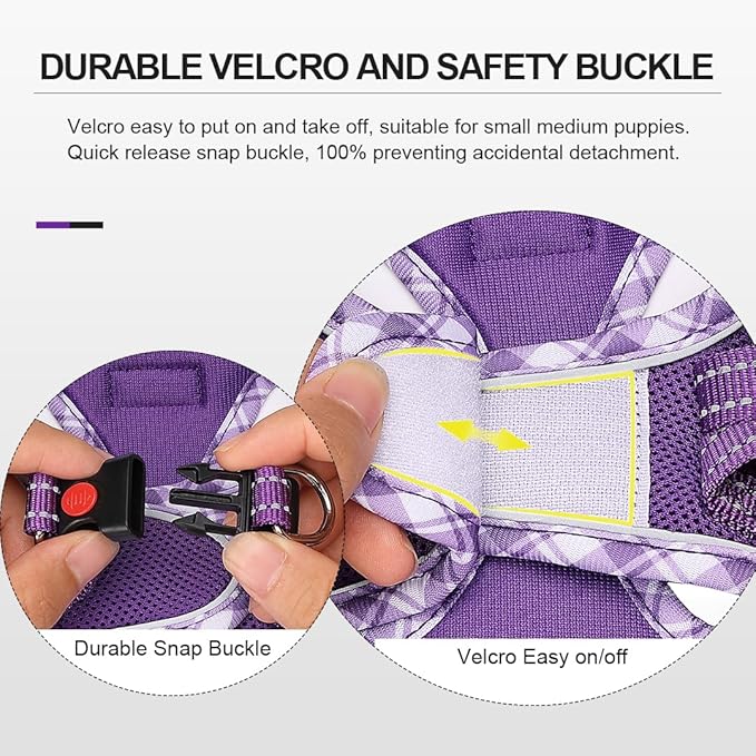 Mercano Soft Mesh Dog Harness and Leash Set, No-Chock Step-in Reflective Breathable Lightweight Easy Walk Vest Harnesses with Safety Buckle for Small Dogs, Cats (L, Purple)