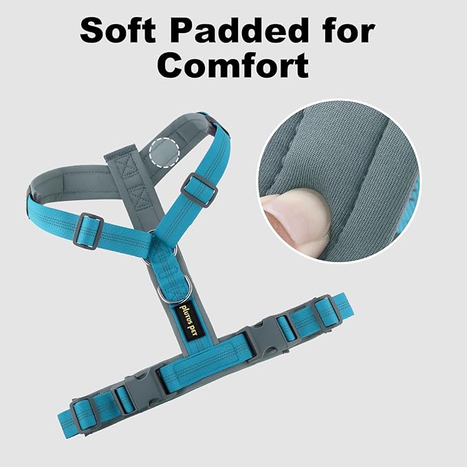Plutus Pet No Pull Dog Harness, Adjustable Nylon Harness with Soft Padding, Reflective and Heavy Duty Dog Harness for Small, Medium, Large Dogs(Cyan, S)