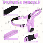 PUPTECK No Pull Dog Harness Small Sized Dog, Adjustable Reflective Pet Vest Harness with Bungee Handle, Escape Proof No Choke Harness for Small Dogs Walking Training, Purple S