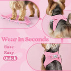 rabbitgoo Small Dog Harness, Step-in Soft Mesh Puppy Vest with Safety Buckle, Breathable Reflective Pet Harness for Small Medium Dogs, Light Pink L