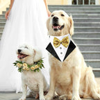 Dog Tuxedo Costume Wedding Bandana Nylon Collar with Gold Bow Tie Adjustable Formal Black Dog Tux Clothes for Small Medium Large VCat Pet Birthday Costumes Christmas Dress Outfits
