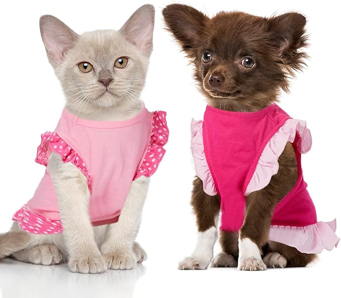 2 Pieces Dog Dresses for Dogs Cute Girl Female pet Dress Mommy Puppy Shirt Skirt Dresses Pet Summer Clothes Apparel for Cats(OMG and Angel,Small)