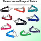 Martingale Collar for Dogs, Biothane, Stainless Steel Hardware, No Pull, Made in The USA, Professional Grade. Small, Black