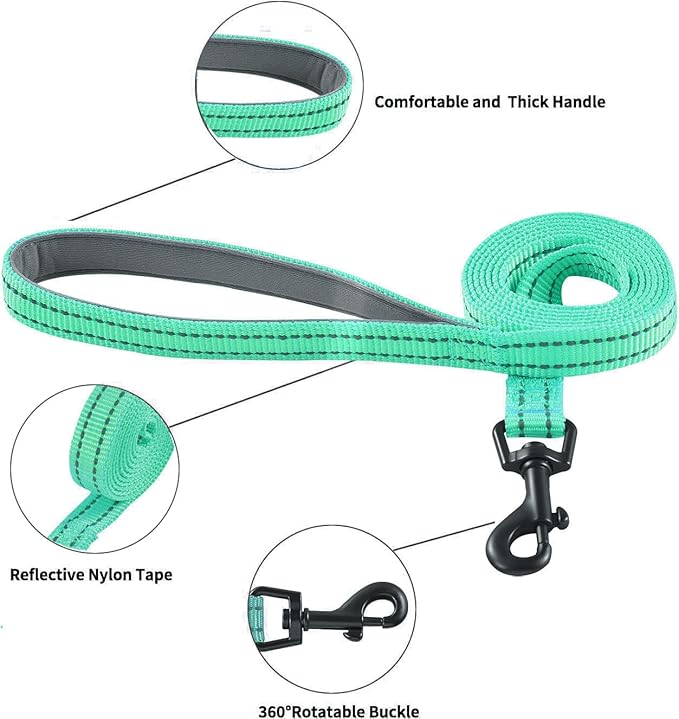 Hipubby Dog Harness and Leash Set, No Pull Soft Mesh Puppy Harness for Small Medium Dogs, Cats - Step in Reflective Breathable Lightweight Vest Harness for Walking, Training - Green, L