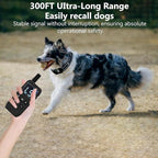 KIP Remote Dog Training Collar, IP67 Waterproof Shockproof E-Collar with 5 Training Modes, Rechargeable and Adjustable for Small, Medium and Large Dogs