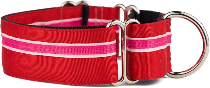 If It Barks - 1.5" Martingale Collar for Dogs - Adjustable - Nylon - Strong and Comfy - Ideal for Training - Made in USA - Large, Shortcake