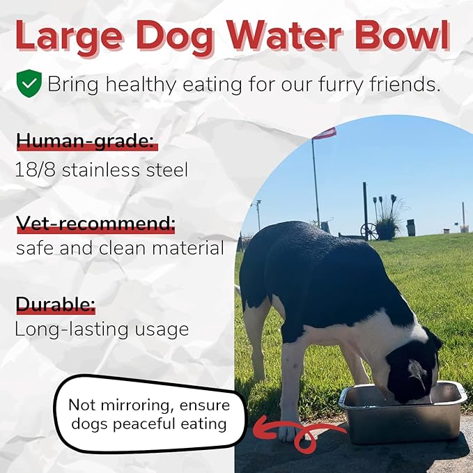 PEDAY 1.2 Gallon Large Dog Water Bowl, 18/8 Human Grade Stainless Steel - Silver Classic